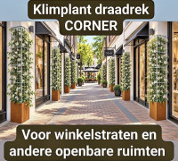 /album/draadrek-corner/screenshot-20261021-144636-facebook-jpg/